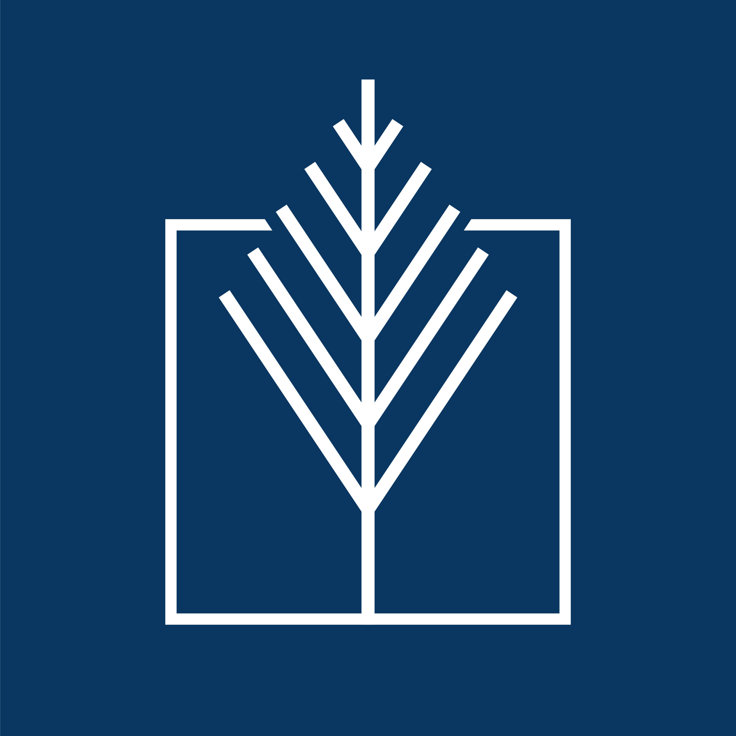 loader image